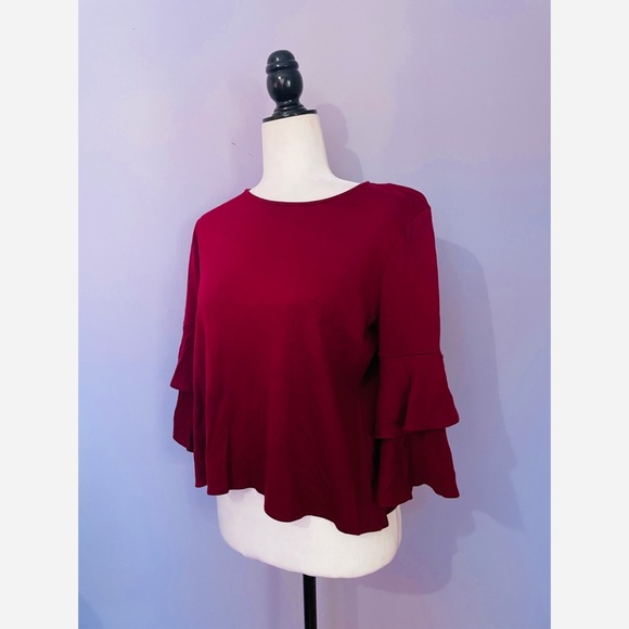 Anthropologie W5 Concepts ruffle sleeve blouse - Picture 5 of 5